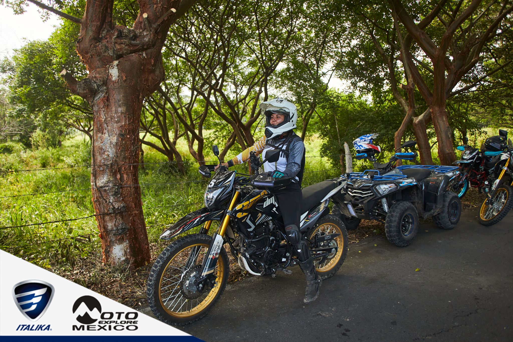 ITALIKA CHACHALACAS D1 239